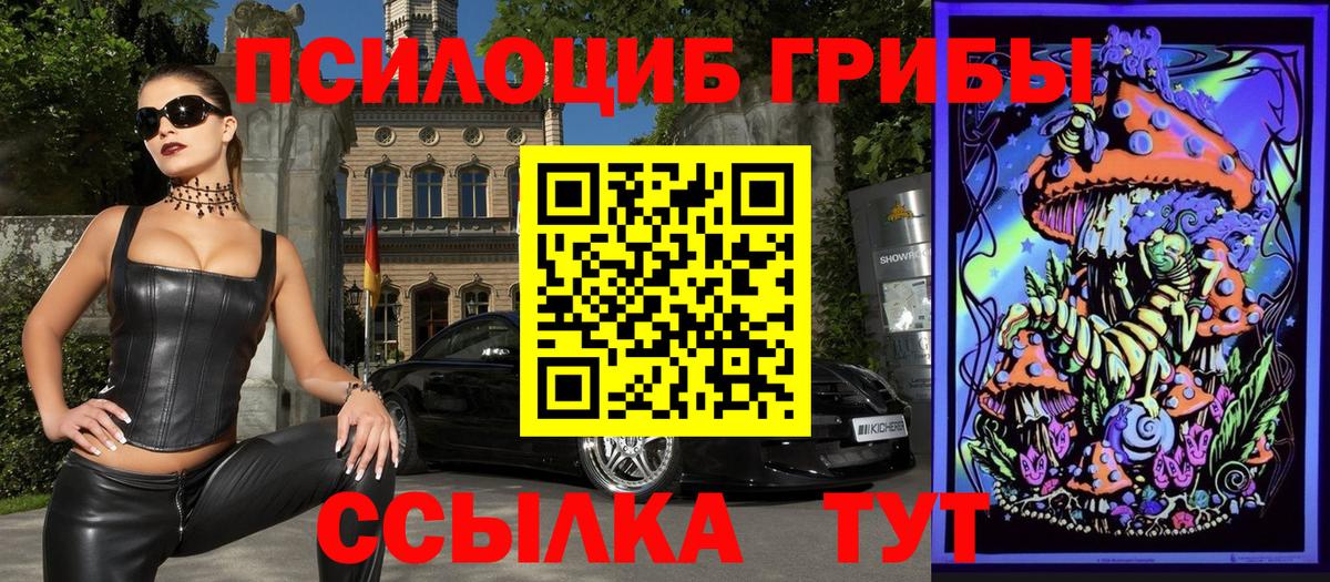 Галлюциногенные грибы GOLDEN TEACHER Унеча
